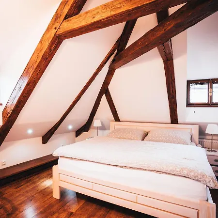 Designer Loft Apartment Cesky Krumlov