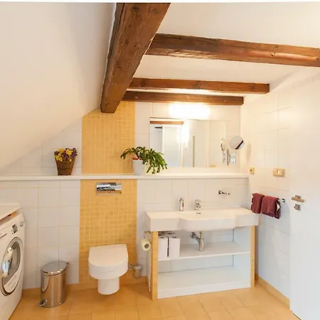 Apartment Designer Loft