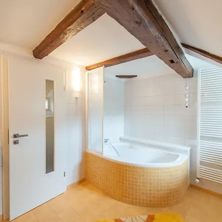 Designer Loft Apartment