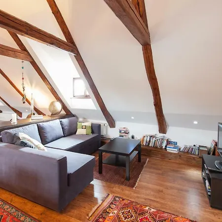 Apartment Designer Loft
